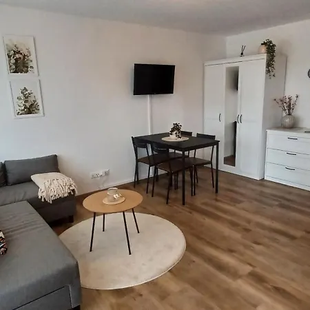 Haus Ribeiro アパート シュルッフゼー